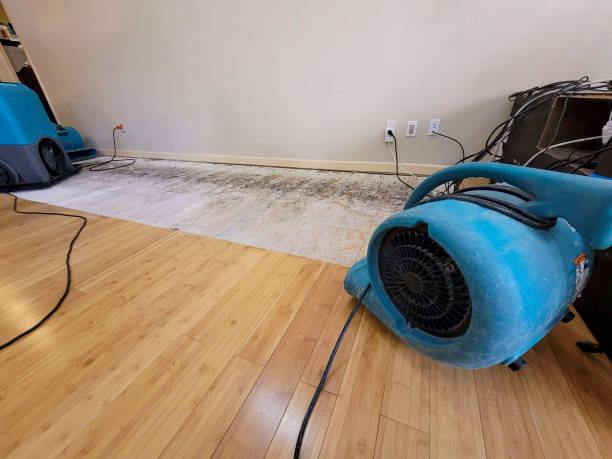 Professional Water Damage Repair technician working in Collins, WI